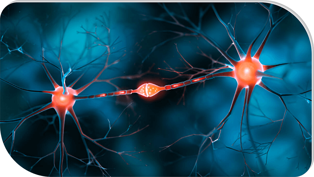 Therapy of Neuromuscular Pain